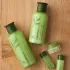 Innisfree Green Tea Balancing Skin