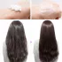 Secret Key So Fast Booster Shampoo