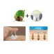 Mizon Snail Wrinkle Care Sleeping Pack